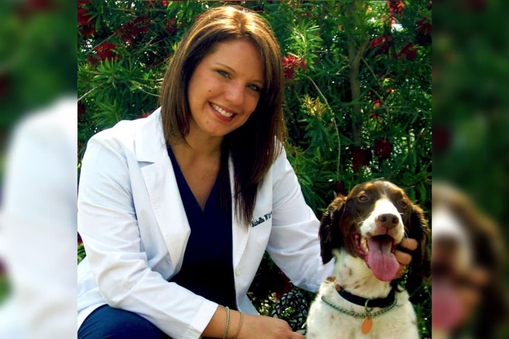 Animal ER of Northwest Houston gets new owner