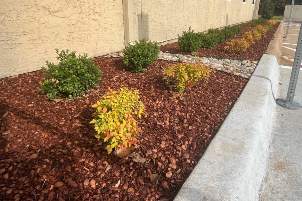 landscaping on outside of a building