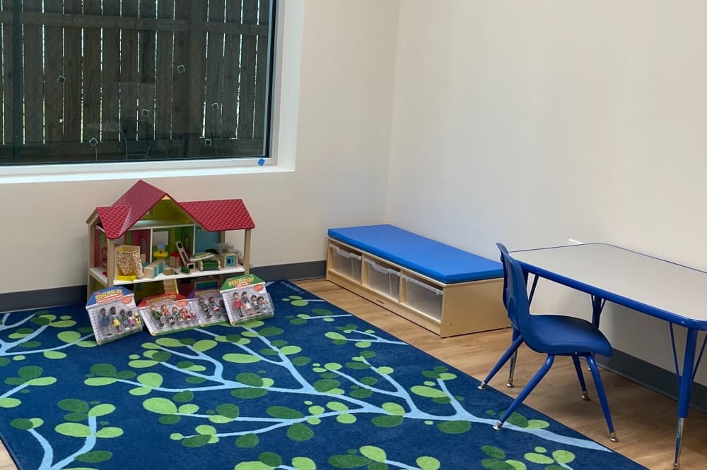 BlueSprig, offering therapy for children with autism, relocates within Magnolia