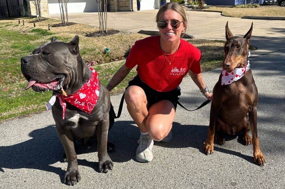 Let's Walk Houston provides dog walks, vacation care for Inner Loop communities