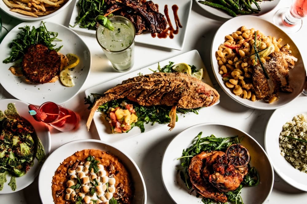 Miami Vibes serving food and beverages in Plano