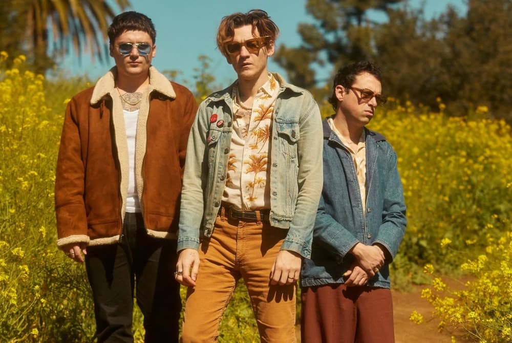 Three musicians stand outside in front of a field of yellow flowers.