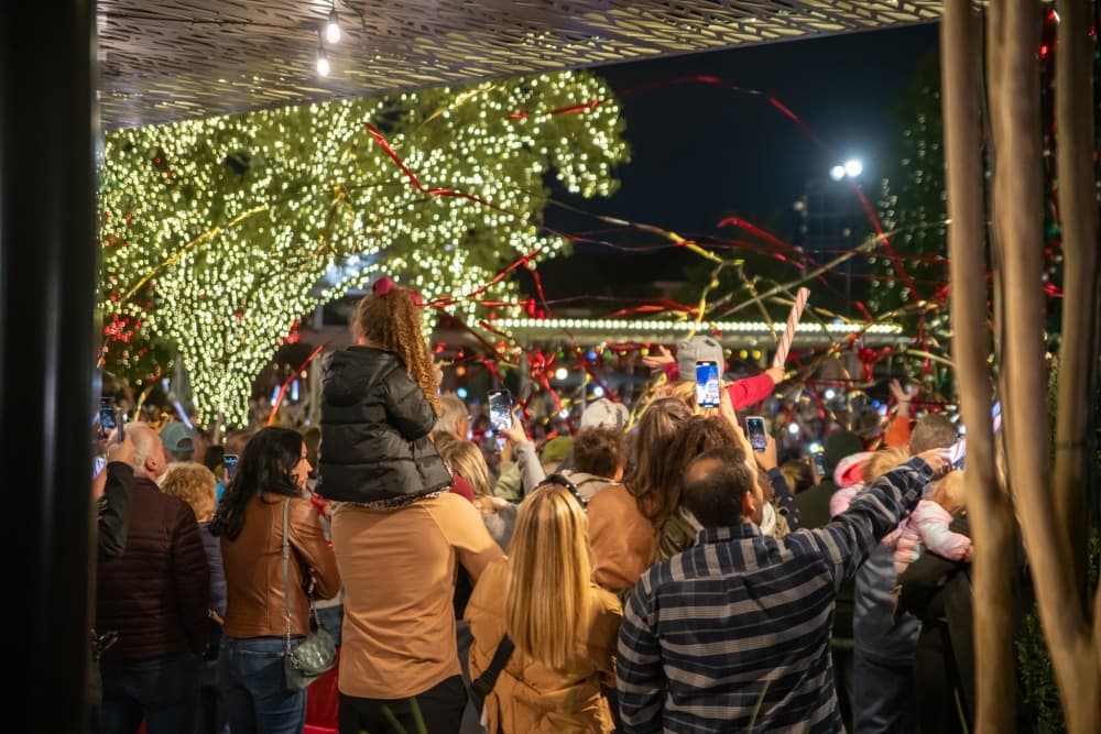 The Woodlands Township approves new holiday lighting expansion