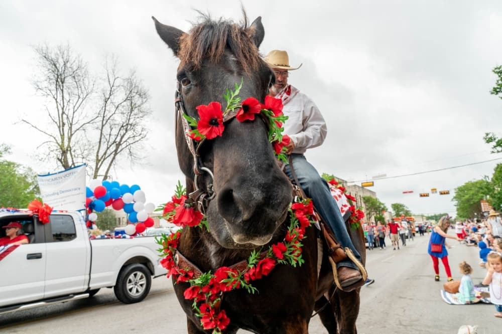 12 spring flings in April-May for Pflugerville, Hutto area