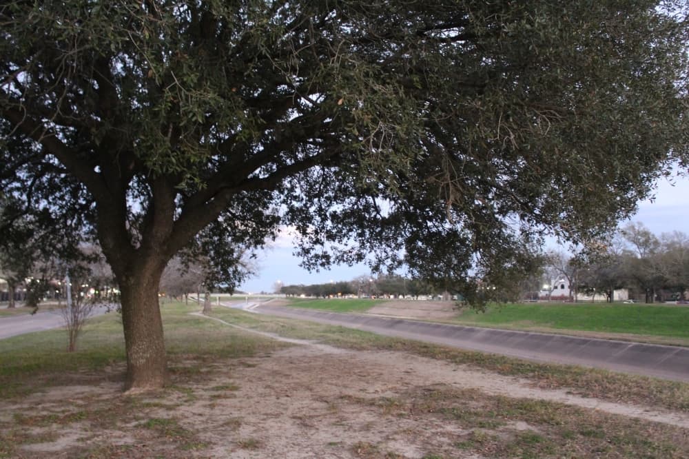 Harris County could start flood mitigation study of upper Brays Bayou this fall