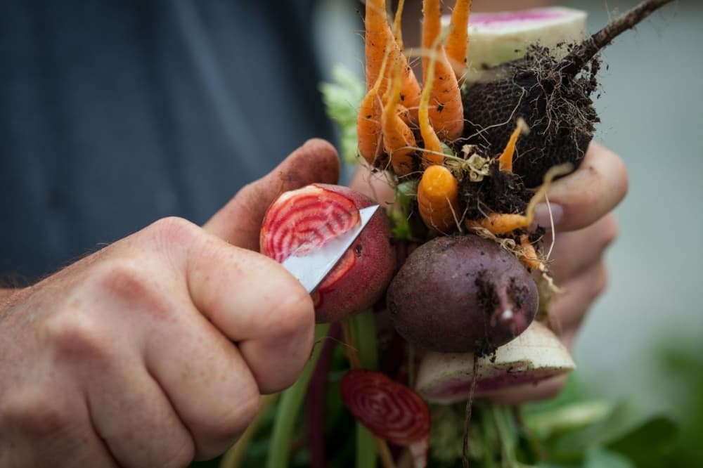 Verdegreens urban farm to open restaurant, bar concept in the Heights