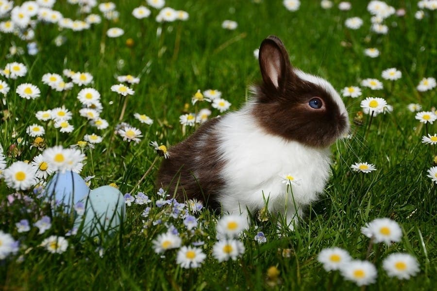 4 ways to celebrate Easter in the Spring, Klein area this weekend, March 28-31