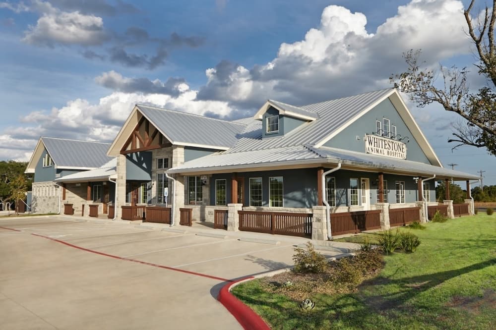 Whitestone Animal Hospital celebrates 5 years of vet care in Cedar Park