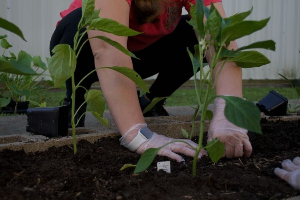 6 things to do in Katy, Fulshear this spring