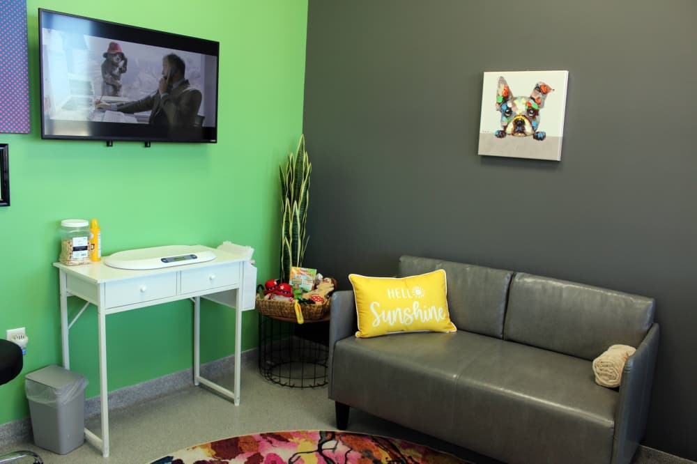Room with tv, couch and framed art featuring a dog. 