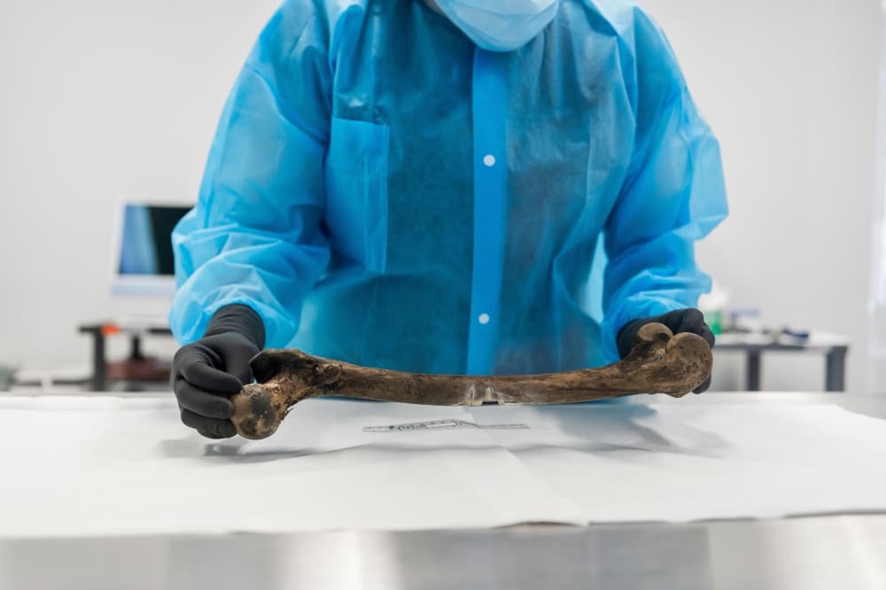 A person in forensic wear holds a human bone