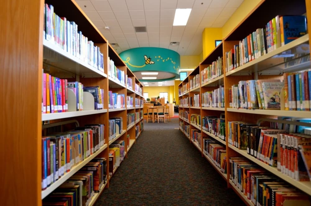 Bee Cave updates library policies, moves on Central Park improvements