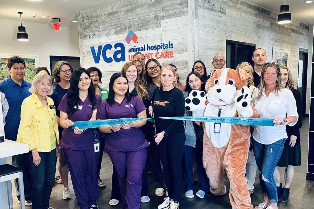 New animal urgent care providing greater access to veterinary services in Pflugerville area