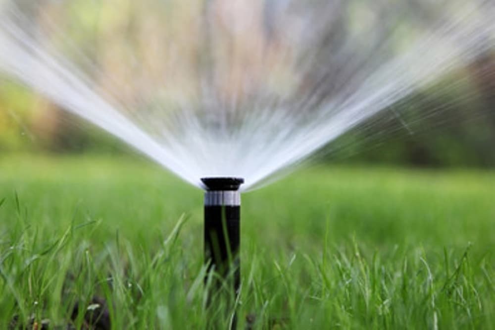 Upper Trinity moves to 2-day-per-week watering schedule for Collin, Denton counties