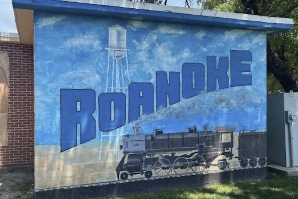 Q&A: Meet the candidates running for Roanoke mayor