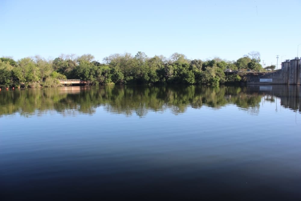 Lady Bird Lake