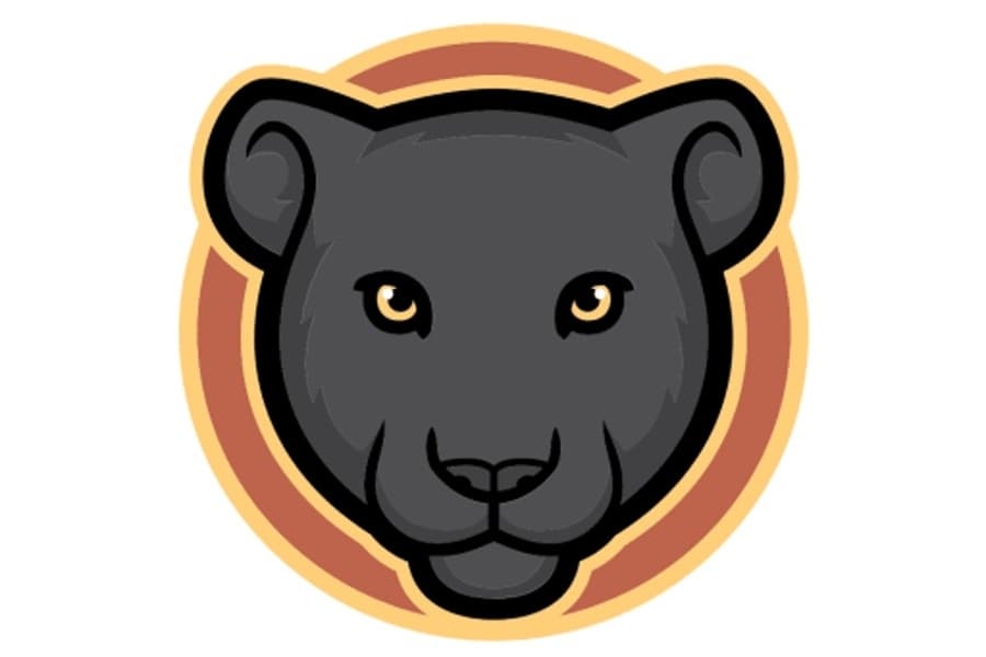 Northwest ISD officials name Perrin Elementary School mascot and colors