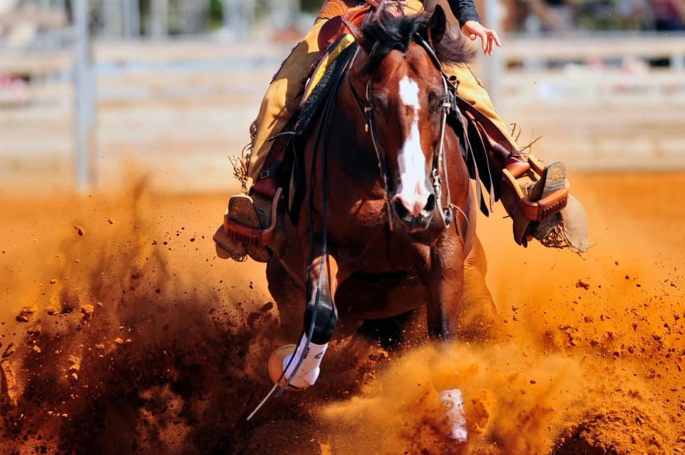 Rodeo Celina to celebrate Western heritage, support district agriculture programs