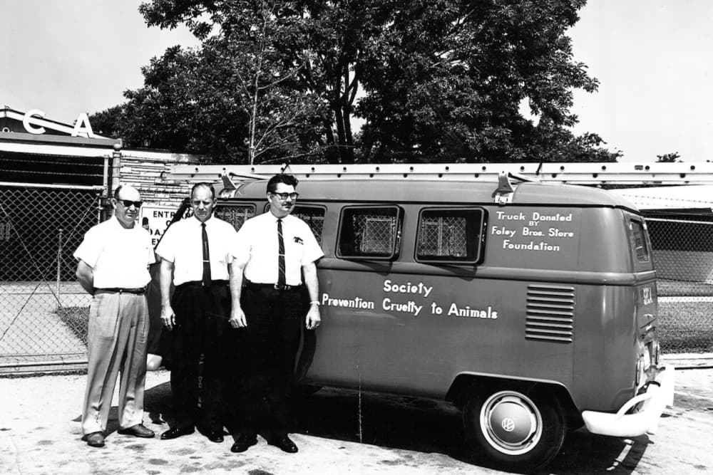 Houston SPCA to commemorate 100-year anniversary during free community event