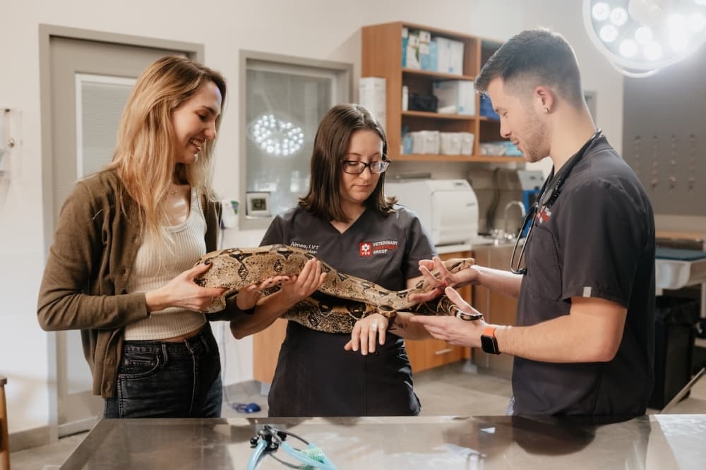 Veterinary Emergency Group opens 24/7 pet hospital in Cedar Park
