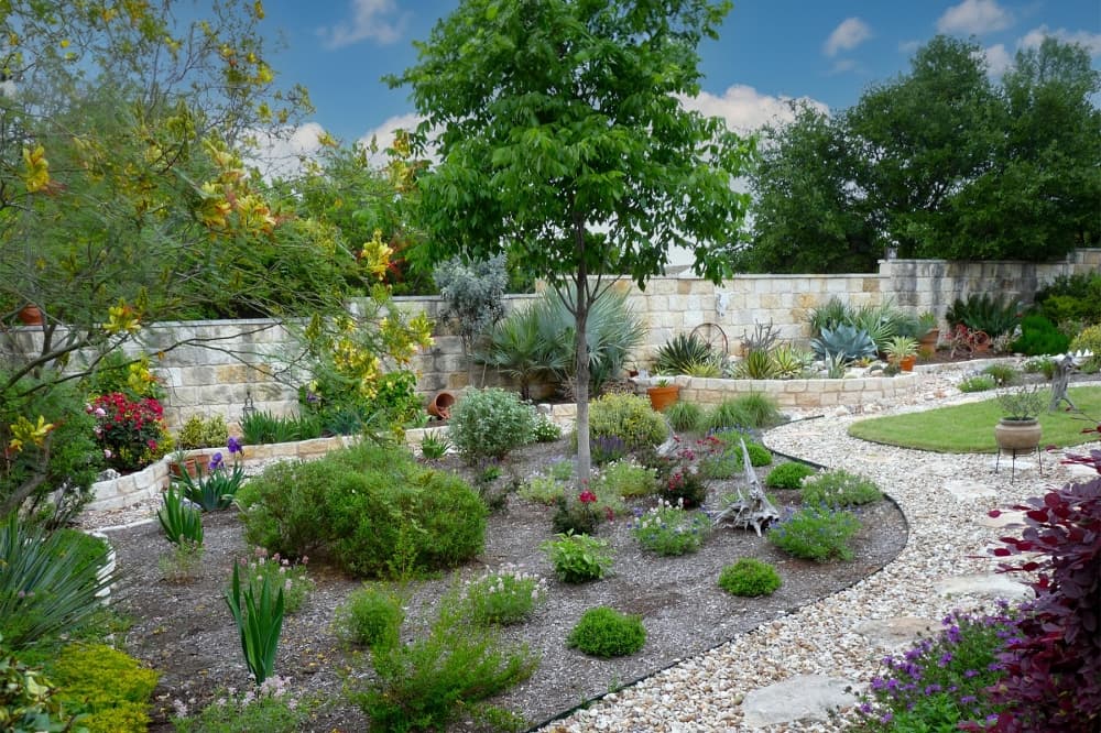 Save money, water through Austin Water’s WaterWise Landscape Rebate program
