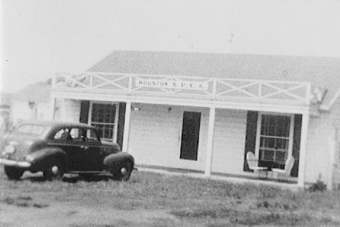 A historical photo of the Houston SPCA building