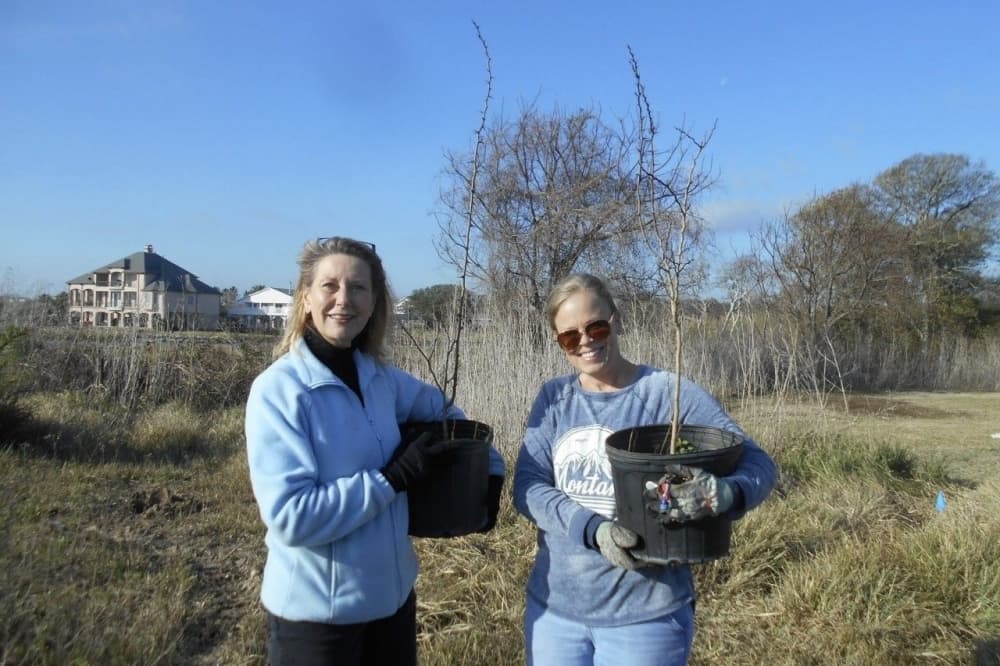 Seabrook receives award for its beautification efforts