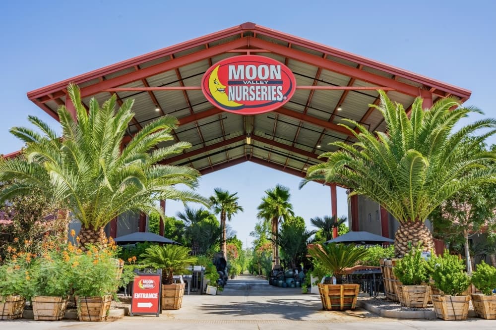 Moon Valley Nurseries to offer trees, plants in McKinney