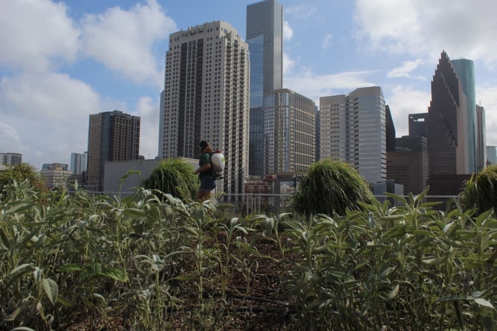See what state legislation can impact the Gulf Coast's regional climate action plan