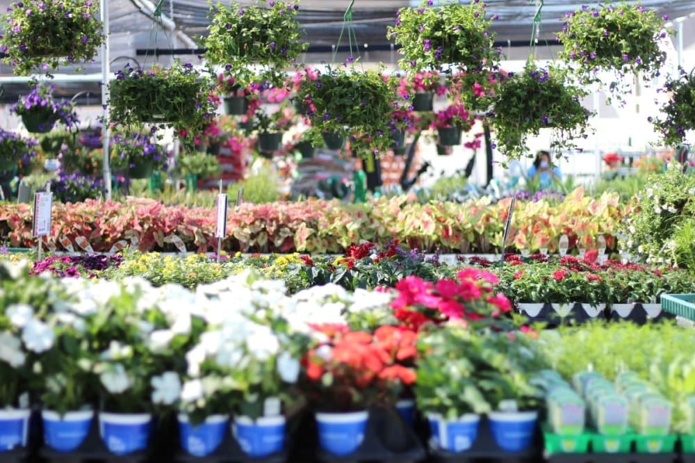 Cornelius Nursery opens Richmond plants shop near Fulshear