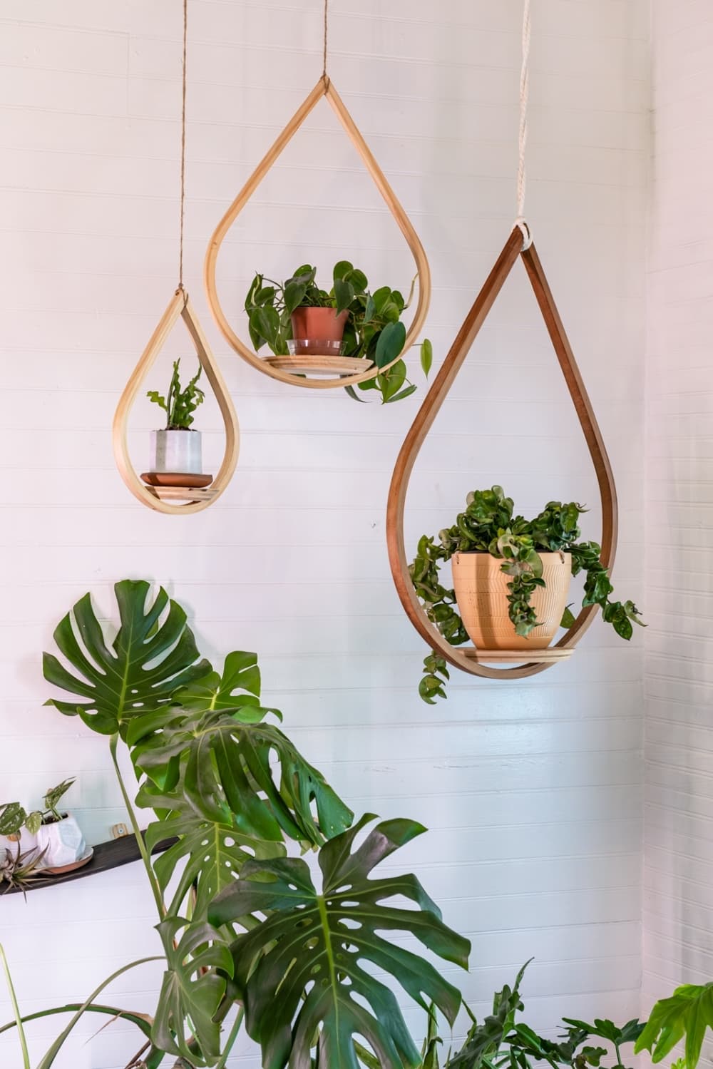 A look at some of the wooden hangers and plants.