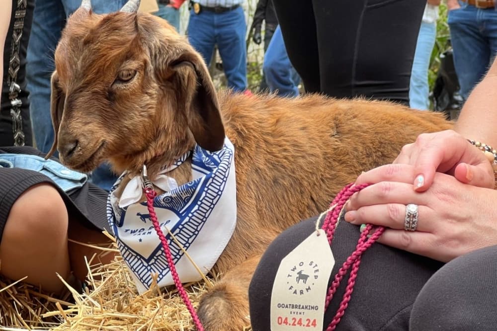 2,000-acre community under construction with the help of goats in Montgomery County