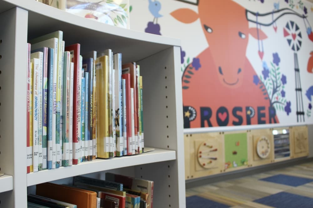 Prosper officials kickstart library master plan process
