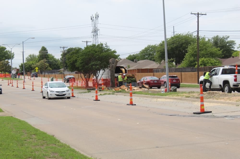 Median work to address trees underway along parts of Park Boulevard