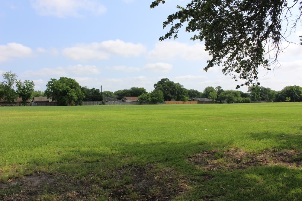 When the city acquired the land in February 2022, the property was filled with bushes and overgrown vegetation. The city has since filled in holes and planted some trees on the western portion of the property, officials said. (Kelly Schafler/Community Impact)