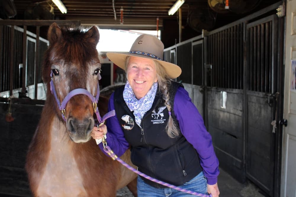 The Bobbyfest Music Festival benefits Amy’s Wish With Wings, a nonprofit that provides equine therapy for children. (Karen Chaney/Community Impact)