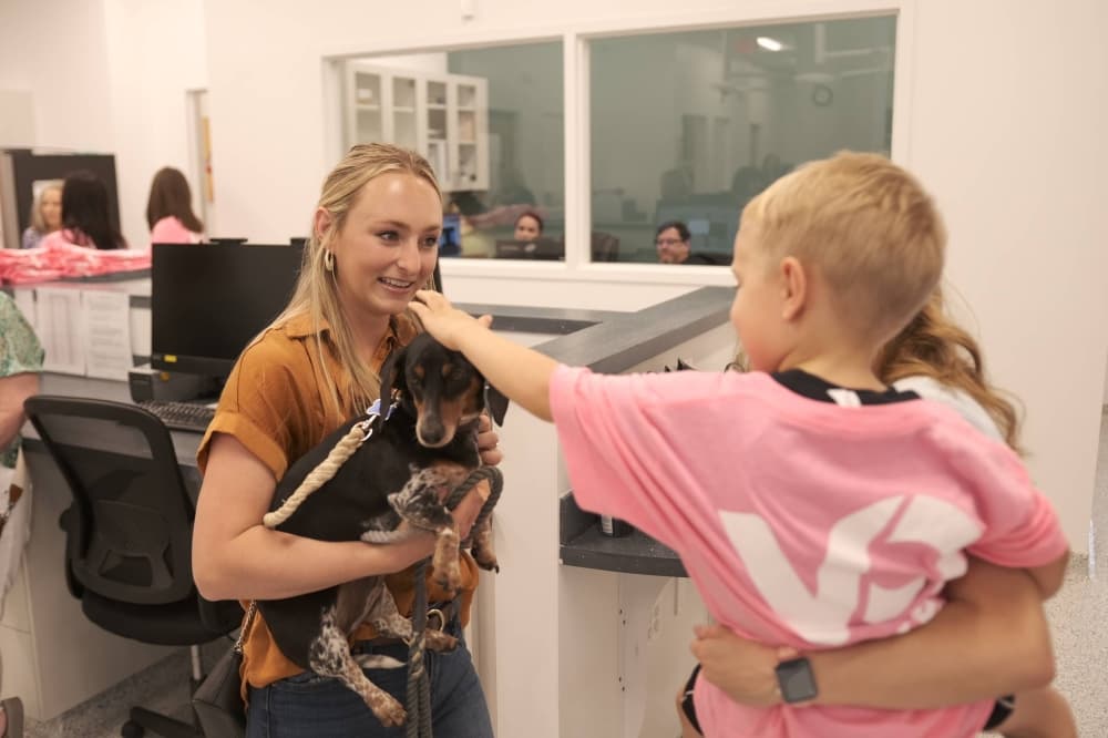 Boy petting a dog that is being held by a female. 