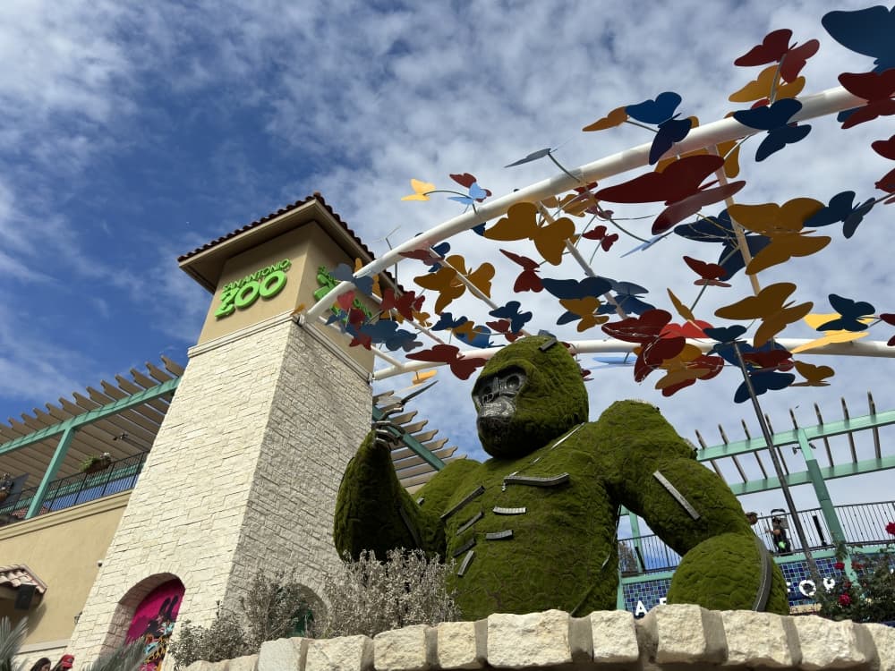 Live music, Zoo Lights, more weekend events to check out Dec. 27-29