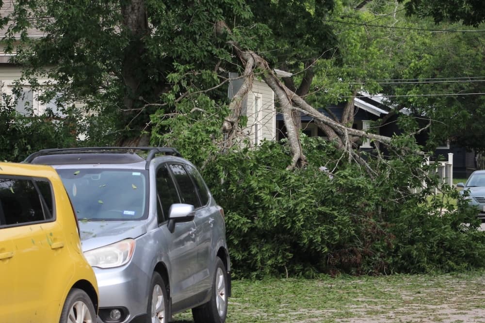 Storm recovery continues in San Marcos with free debris pickup