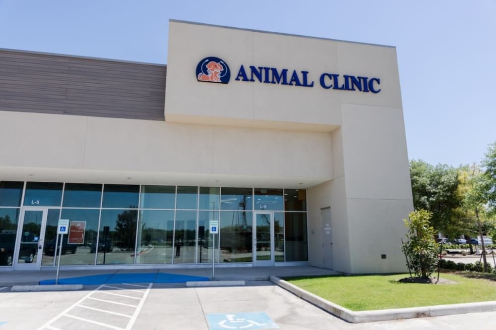 River Park Animal Clinic offers wellness exams, surgery and dental care for pets in Sugar Land. (Courtesy River Park Animal Clinic)