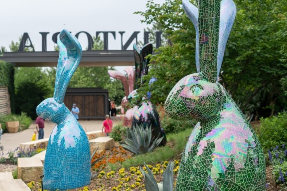 10 things to do around San Antonio, May 17-19