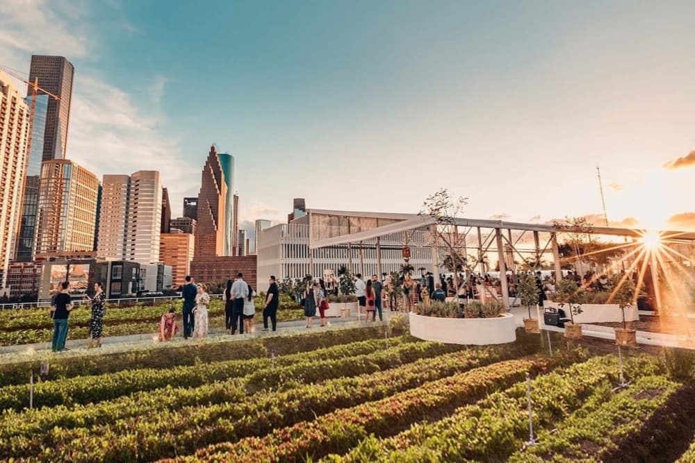Blackwood Skyfarm to celebrate 2 years as the largest rooftop farm in Texas