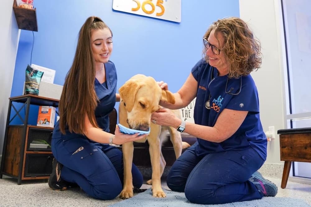 PetVet365 to begin providing veterinary care to Leander, Cedar Park pets