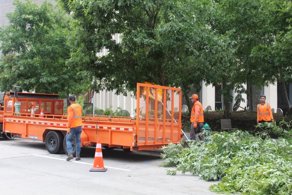 Crews work to clear trees from the roadway on Polk Street near the Allen Center. (Shawn Arrajj/Community Impact)