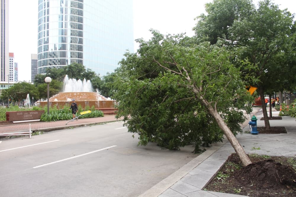 An uprooted tree on Polk Street blocks several lanes of the road. (Shawn Arrajj/Community Impact)