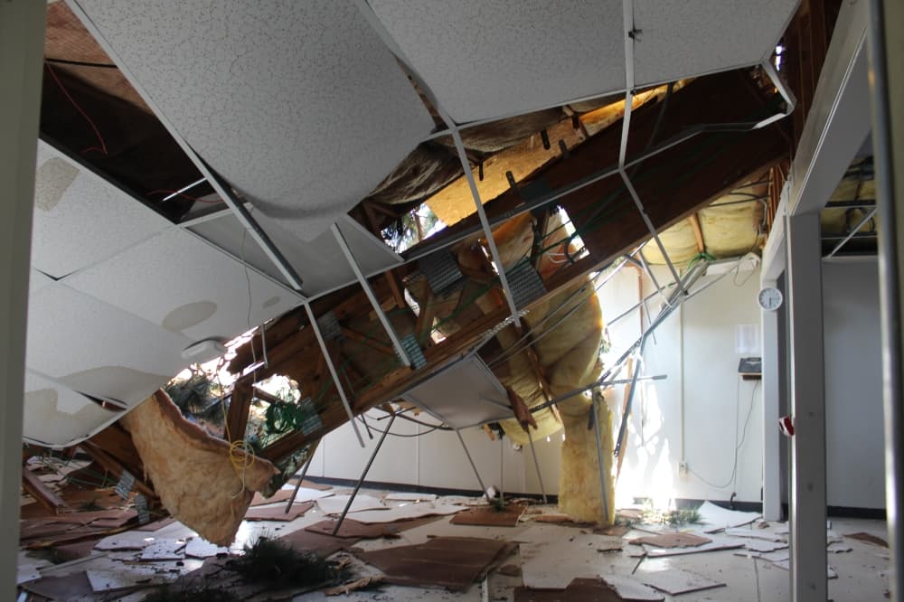 Interior shot of a building where a tree crashed through a roof 