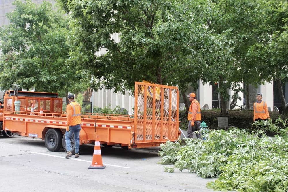 Debris collection from May 16 storm underway in Houston