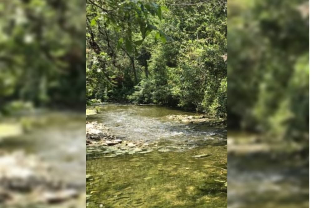 Berry Springs Park and Preserve in Georgetown temporarily closes for renovations