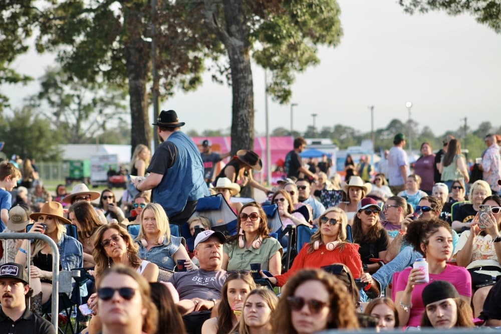 A crowd at an outdoor concert