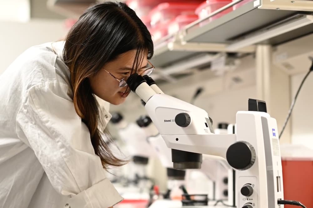 UT researchers use AI to create costly Alzheimer's drug for less